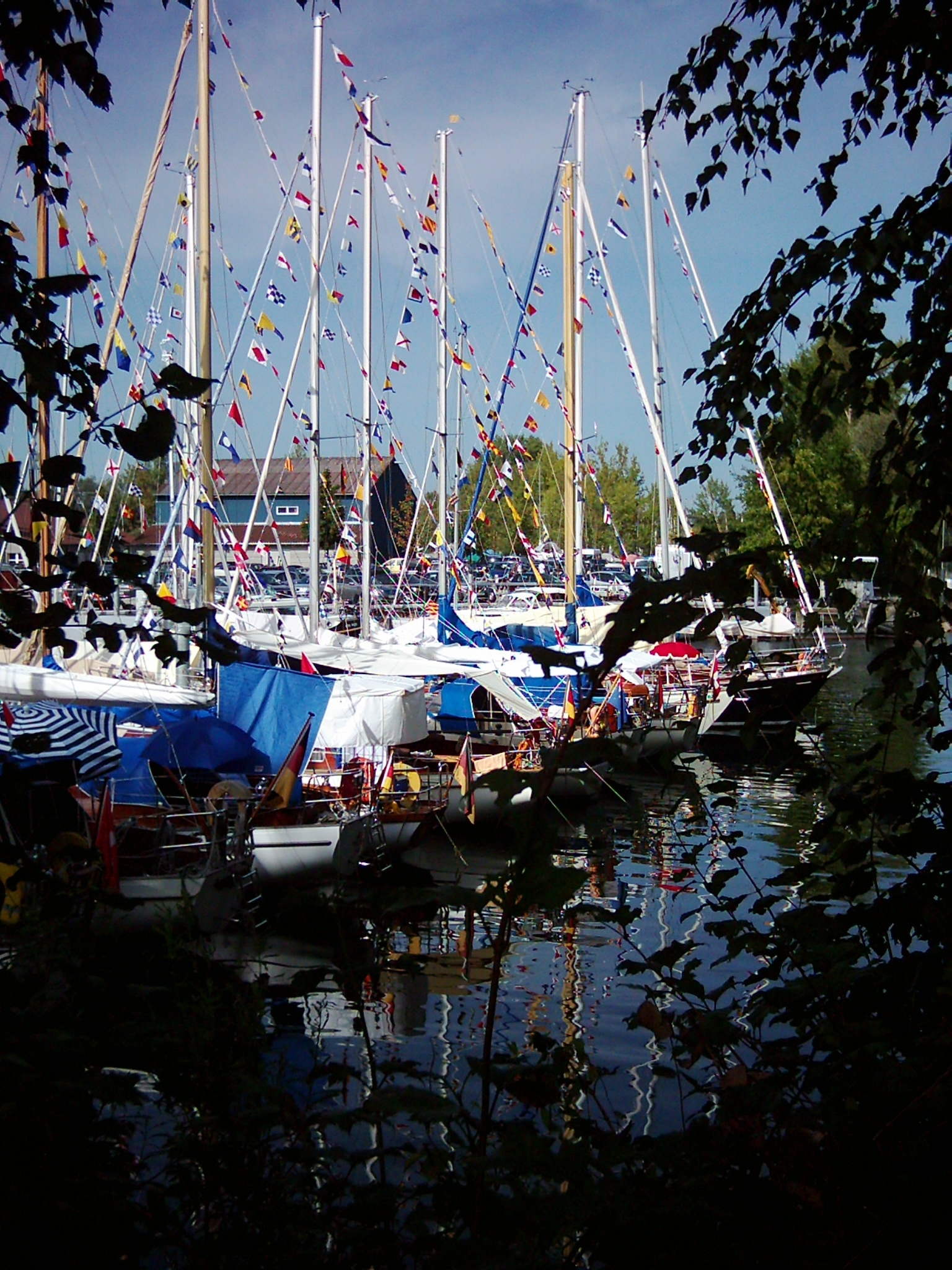 05.jpg