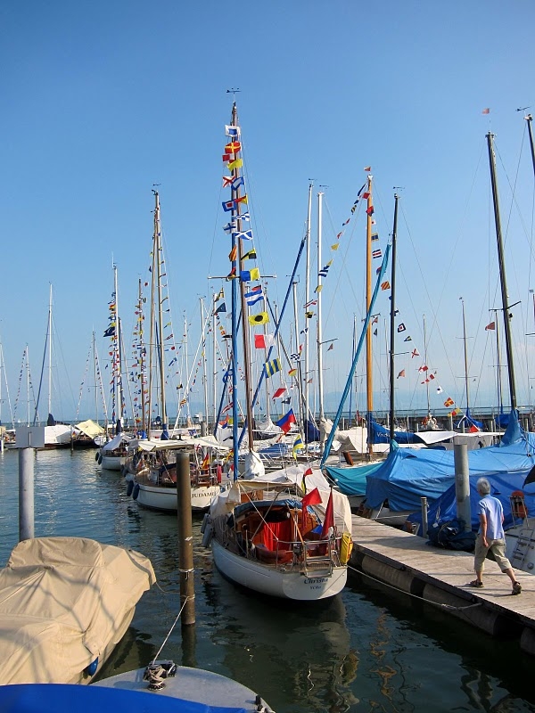06.jpg